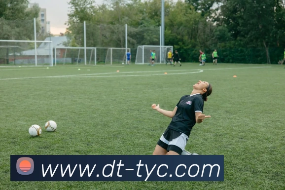 太阳城网站APP 封面图